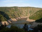 DSCN0008 (Large).JPG
