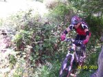 100_2340.jpg