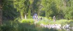 DSCN1631.JPG