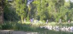 DSCN1632.JPG