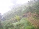 IMGP5533.jpg