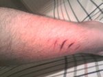 2010-05-22 00.34.46.jpg