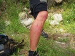 100_2311.jpg