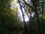 05062010717.jpg