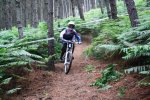 _MG_2474.jpg