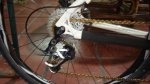 DSC04681.jpg