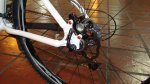 DSC04687.jpg
