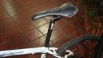 DSC04689.jpg