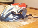 100_6837.JPG