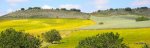 DSCN1642.JPG