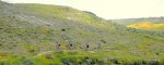 DSCN1638-1.JPG