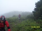100_2390.jpg