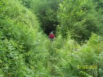 100_2394.jpg