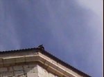 DSC00303.jpg