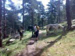 050620105549.jpg