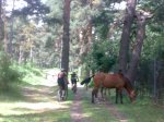 050620105556.jpg
