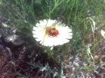 050620105537.jpg