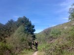 050620105542.jpg