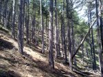 05062010488.jpg