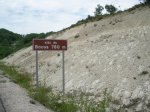 SANY0567.jpg