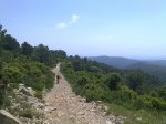 05062010688.jpg