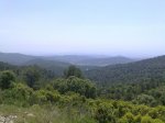 05062010689.jpg