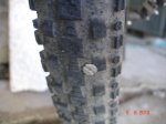 DSC03869.jpg