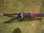 IMG00006-20100607-1515.jpg