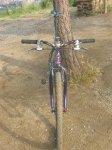 DSCN0939.jpg