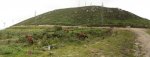 Panorama5.jpg