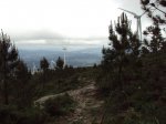 DSC01195.jpg