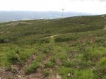 DSC01200.jpg