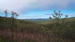 DSC00231.jpg