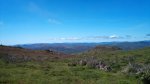 DSC00234.jpg