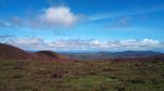 DSC00236.jpg