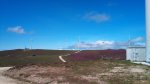 DSC00243.jpg
