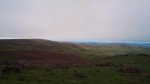 DSC00230.jpg
