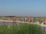 IMG_3725.jpg