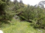 Lozoya-Pico del Nevero 11.JPG