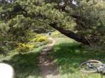 Lozoya-Pico del Nevero 12.JPG