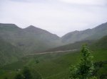 SANY0554.jpg