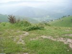SANY0538.jpg