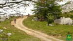 gorbeia034.JPG