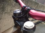 DSC00338.jpg