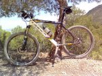 orbea alma.jpg