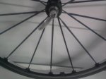 Foto0176.jpg