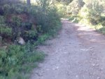 Imagen006.jpg