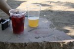 IMG_0082.JPG
