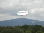 CIMG2424.jpg