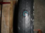 DSC03881.jpg